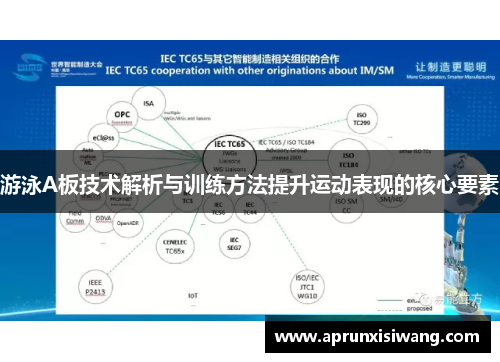 游泳A板技术解析与训练方法提升运动表现的核心要素