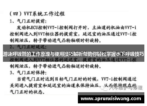 游泳呼吸管的工作原理与使用技巧解析帮助你轻松掌握水下呼吸技巧
