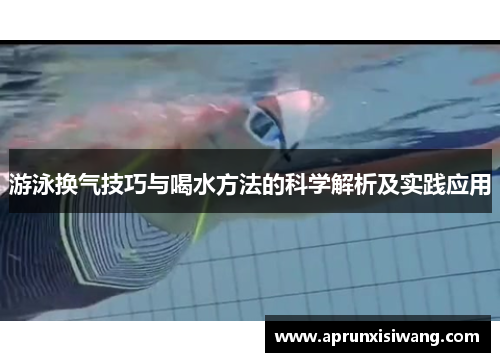 游泳换气技巧与喝水方法的科学解析及实践应用