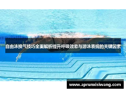 自由泳换气技巧全面解析提升呼吸效率与游泳表现的关键因素