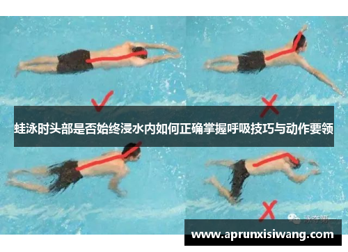 蛙泳时头部是否始终浸水内如何正确掌握呼吸技巧与动作要领
