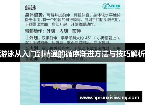 游泳从入门到精通的循序渐进方法与技巧解析